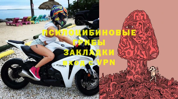 эйфоретик Балахна