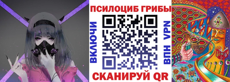 Купить Полярный Псилоцибиновые грибы ЛСД